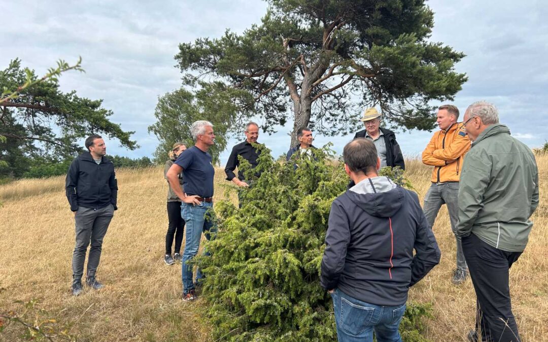 Land­schafts­pfle­ge: Exkur­si­on zum Schanz­berg